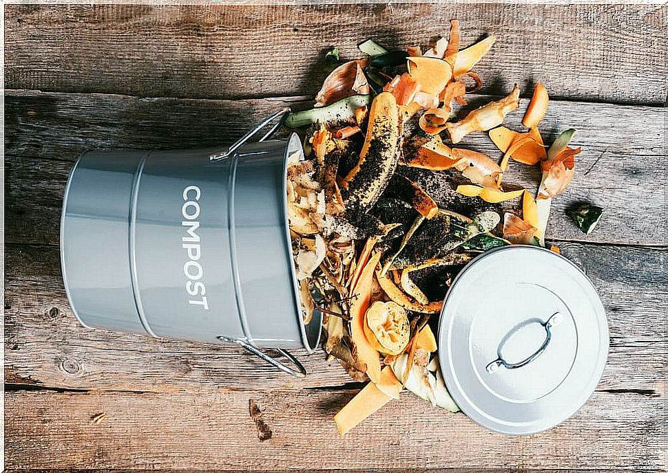 Container with composting elements.