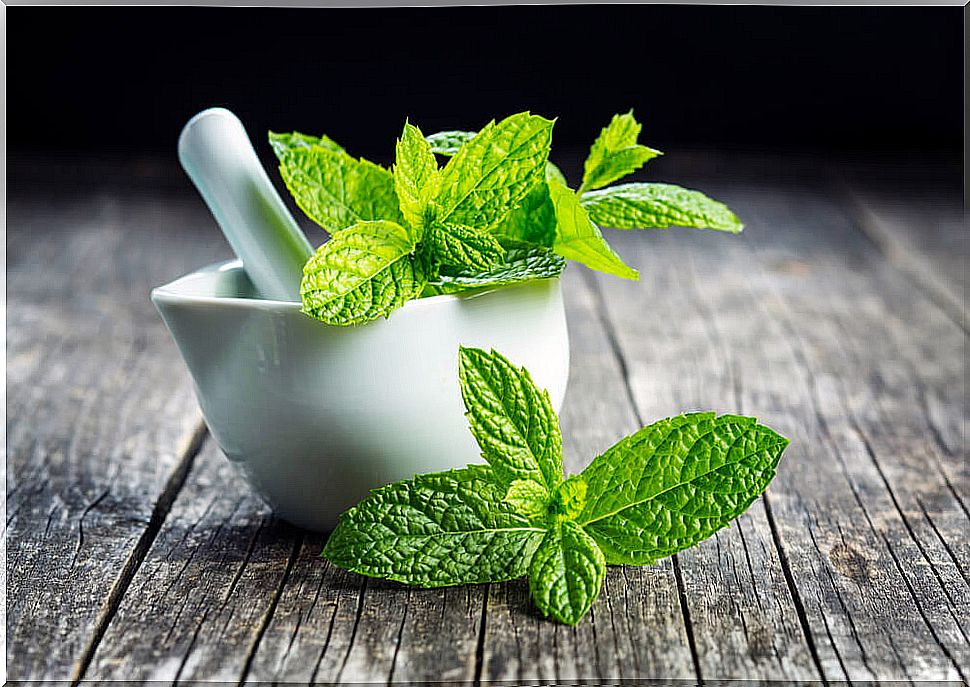 Mint leaves in a mortar