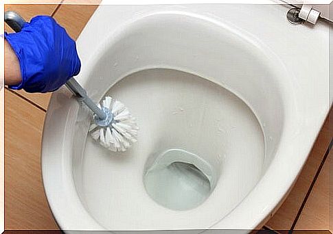 Cleaning the toilet with white vinegar