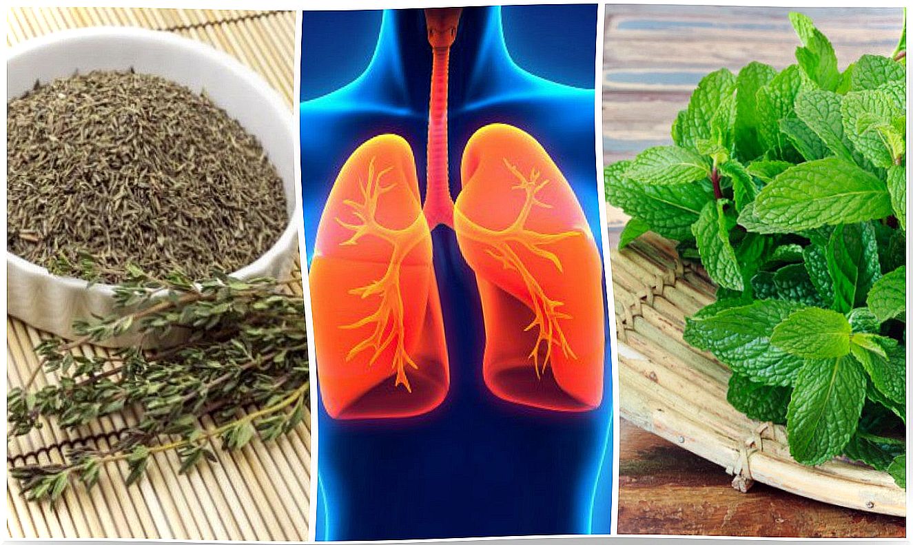 8 herbs you can use to improve your lung health