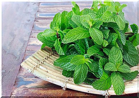 Peppermint leaves in a wooden bowl