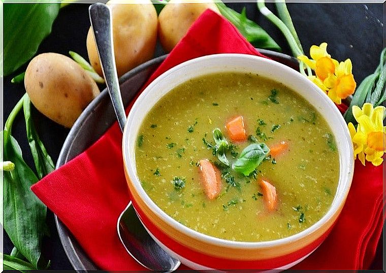 Discover the fat burning soup diet