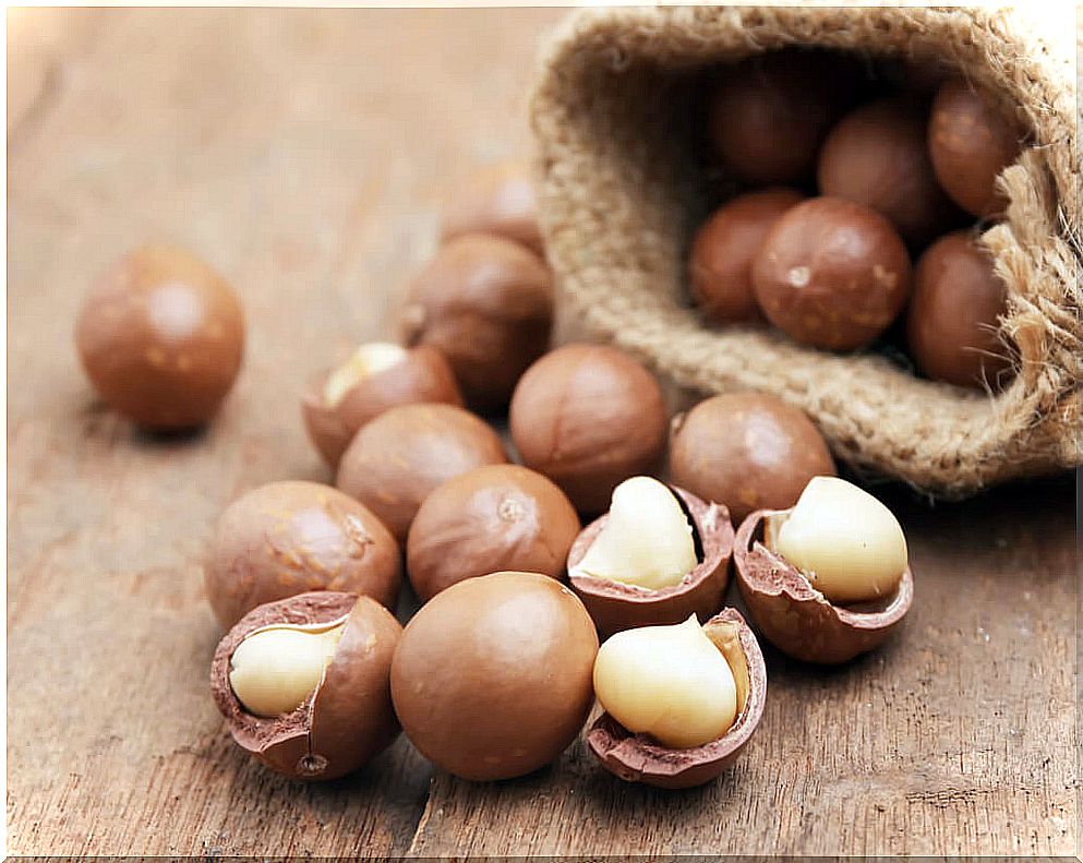 Macadamia nut