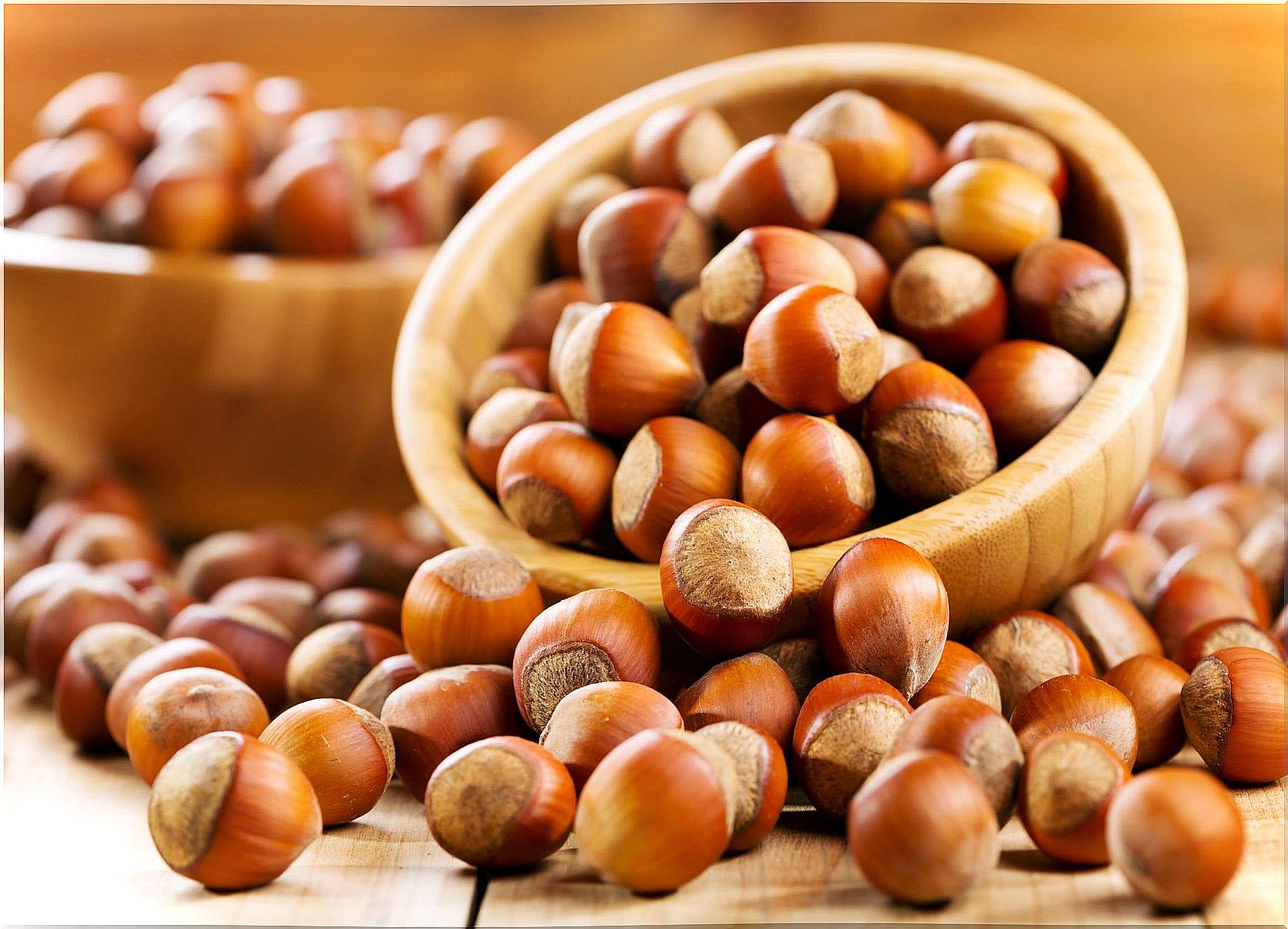 hazelnut nuts