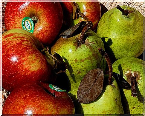 Pears and apples to improve gastritis