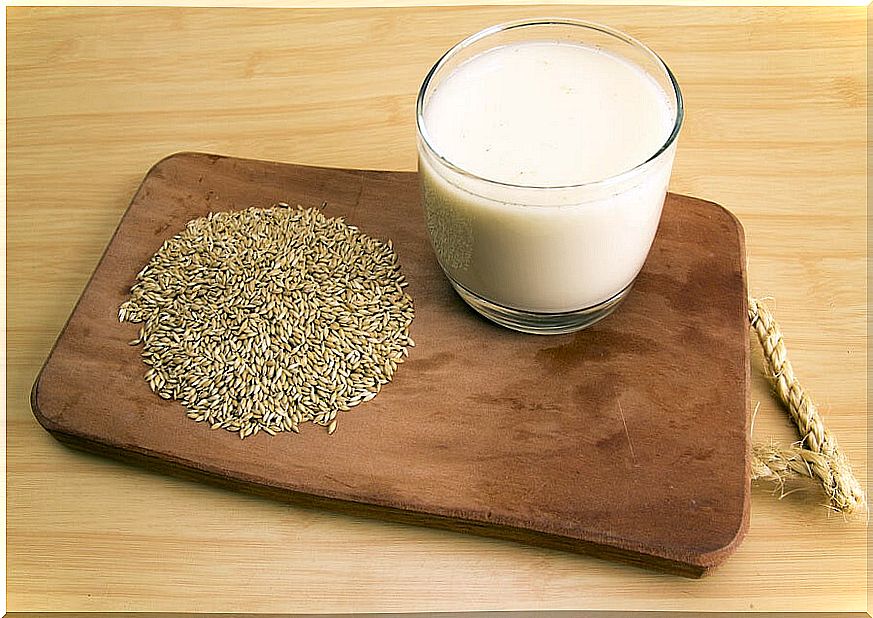 How to prepare canary seed milk and what are its benefits