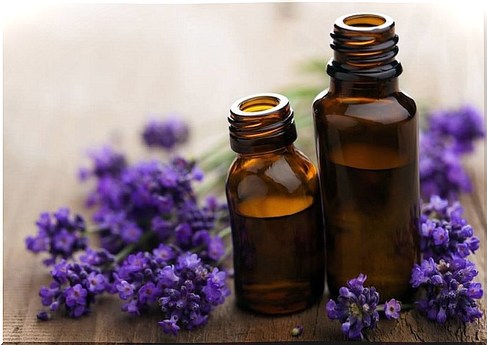 Lavender essential oil against flies.