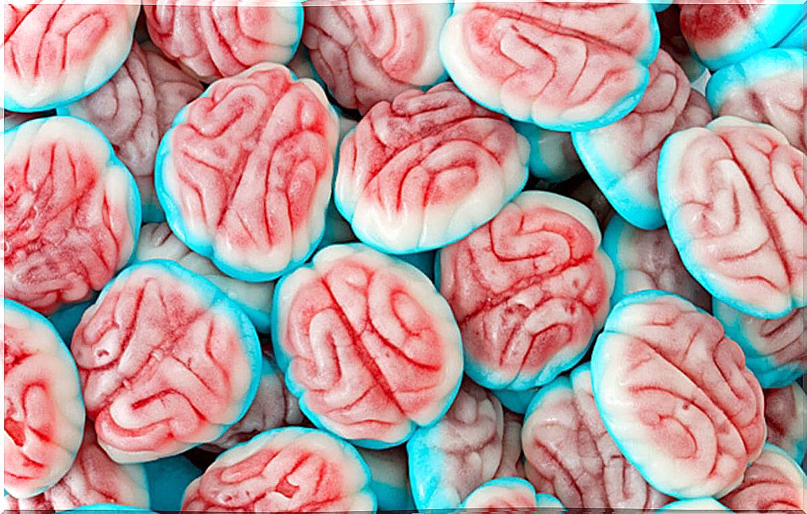 ebay-jelly-filled-gummi-brains-bulk sugar