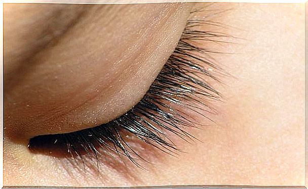 Eyelashes in closed eye