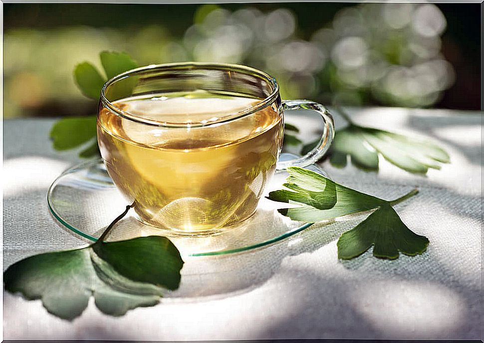 Infusion of ginkgo biloba to improve memory