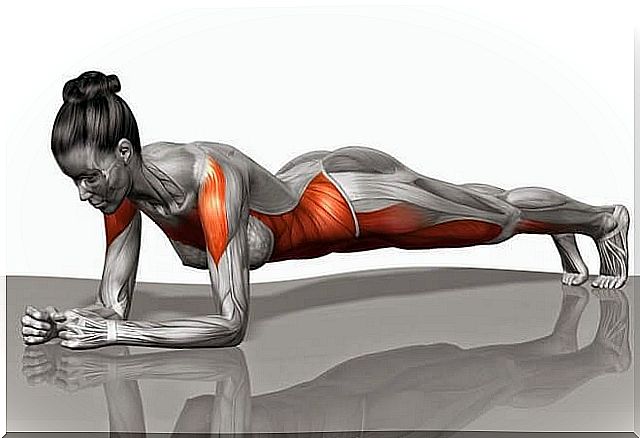 Plank, the abdominal exercise for the whole body