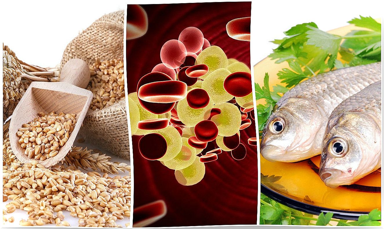 The 7 foods you should include in your diet to control cholesterol