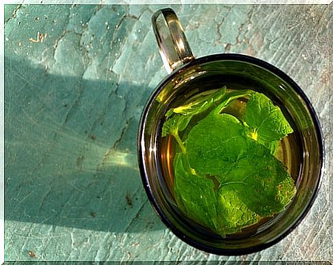 digestive mint infusion 